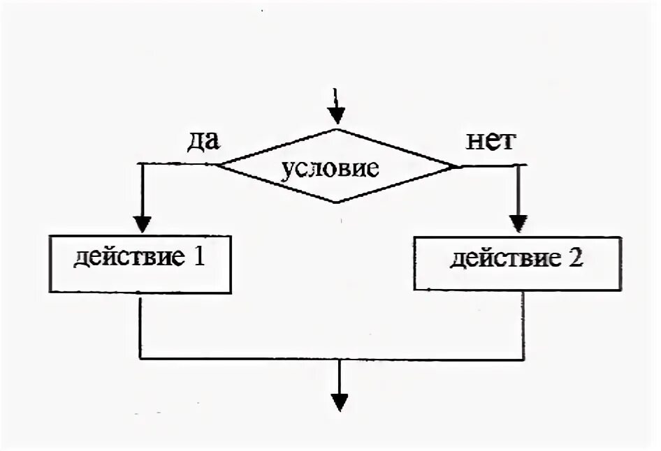 Алгоритмы с ветвлением 6 класс информатика