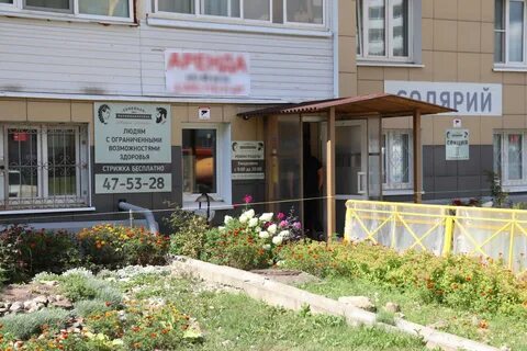 Социальная парикмахерская
