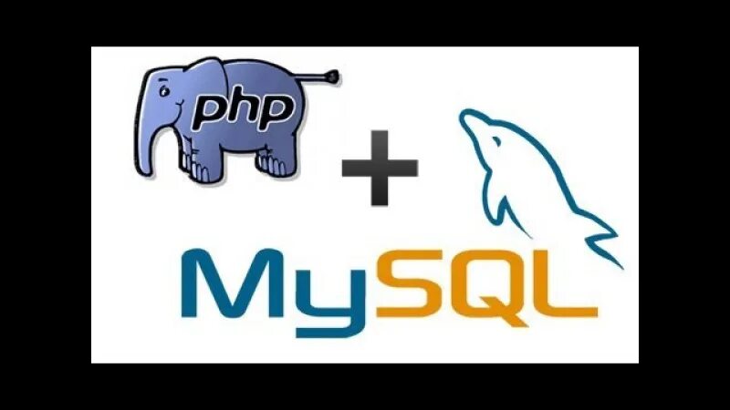 Offer php cat. Php mysql. mysql логотип. mysql без фона. mysql логотип без фона.