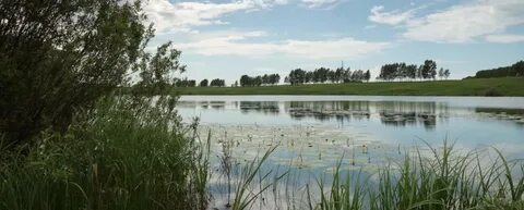 Панфилово ленинск