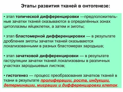 Развитие тканей