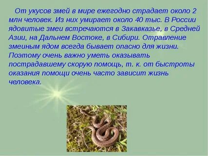 Обж змеи