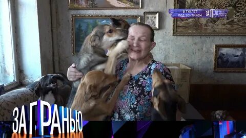 Грани сосед