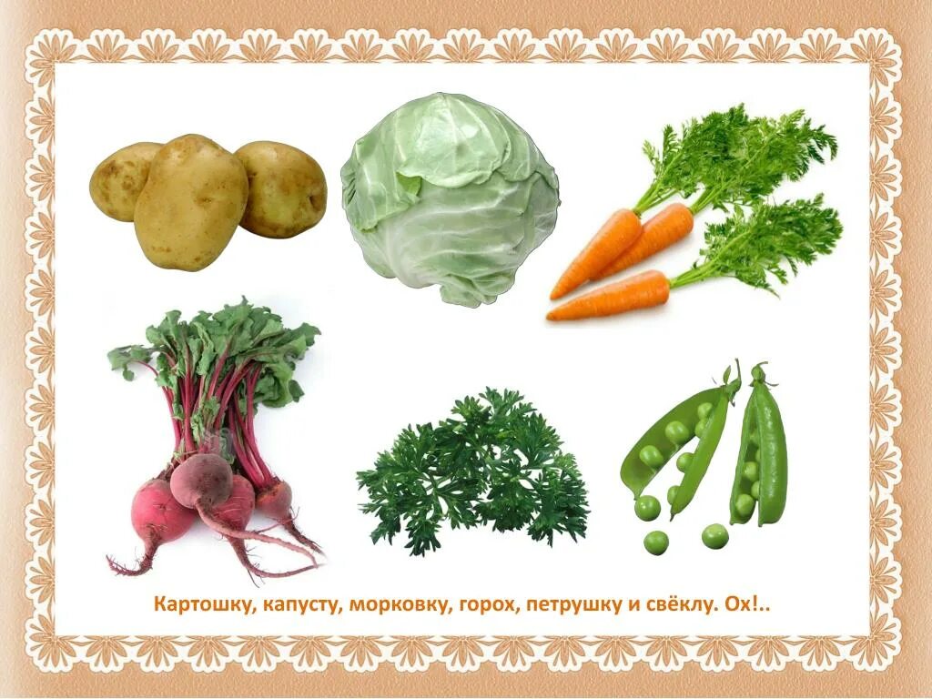 Зеленые овощи для детей. Овощи картофель морковь лук капуста свекла. Овощи корнеплоды для детей. Картофель морковь капуста. Картошка капуста горох