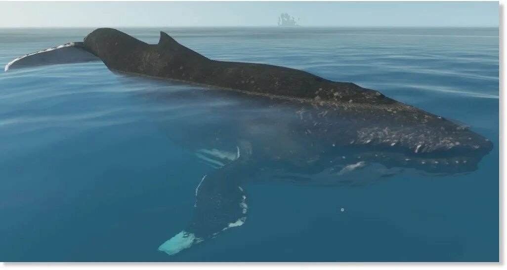 Stranded Deep кит. Китообразные на кораблях. Киты мирные существа.