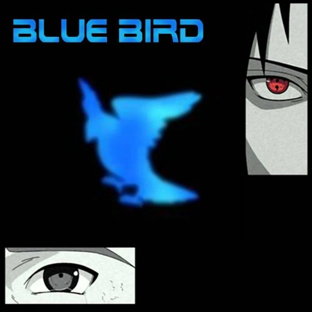 Опенинг blue bird