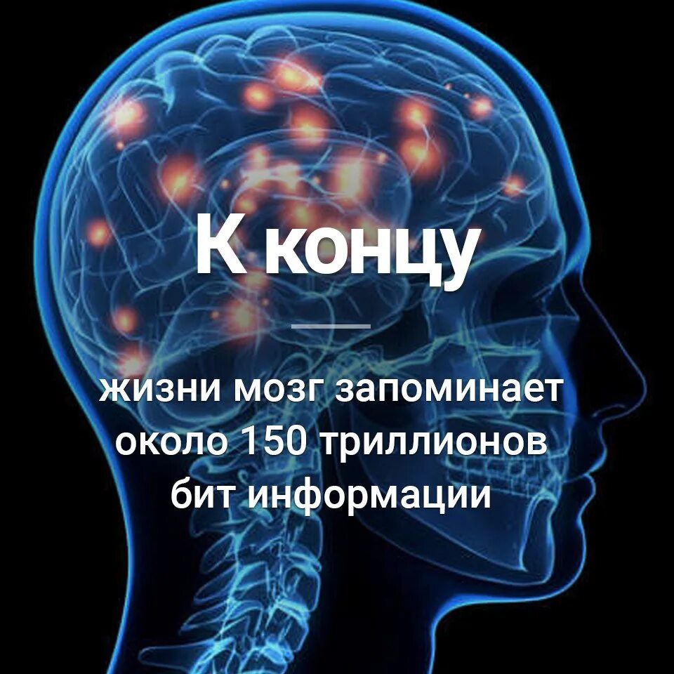 Мозг и информация. Мозг запоминает. Факты о человеческом мозге.