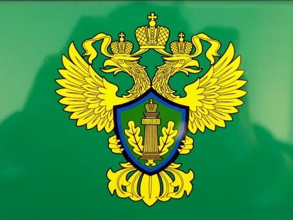 Сайт департамента росприроднадзора