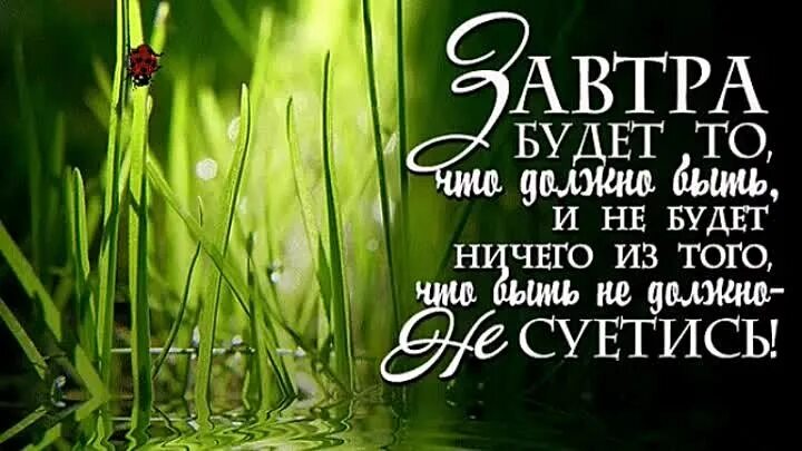 Пусть завтра будет лучше. Завтра новый день. Завтрабулет новый день. Завтра будет новый день цитаты. Будет новый день.