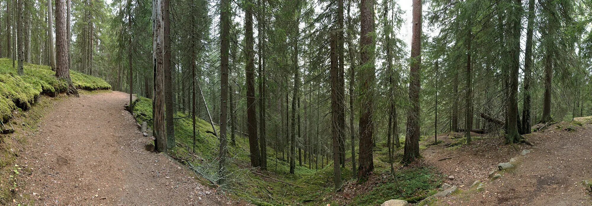 Рекреационных лесных участках. Рекреационные леса. Лесная рекреация. Рекреация лесов. Город в Финляндии Юлеярви.