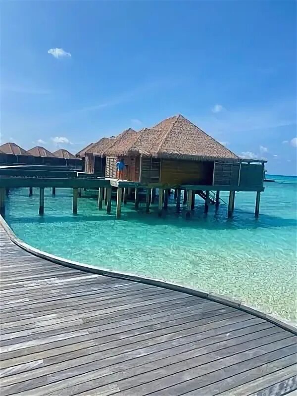 Barcelo мальдивы. Barcelo мальдивы