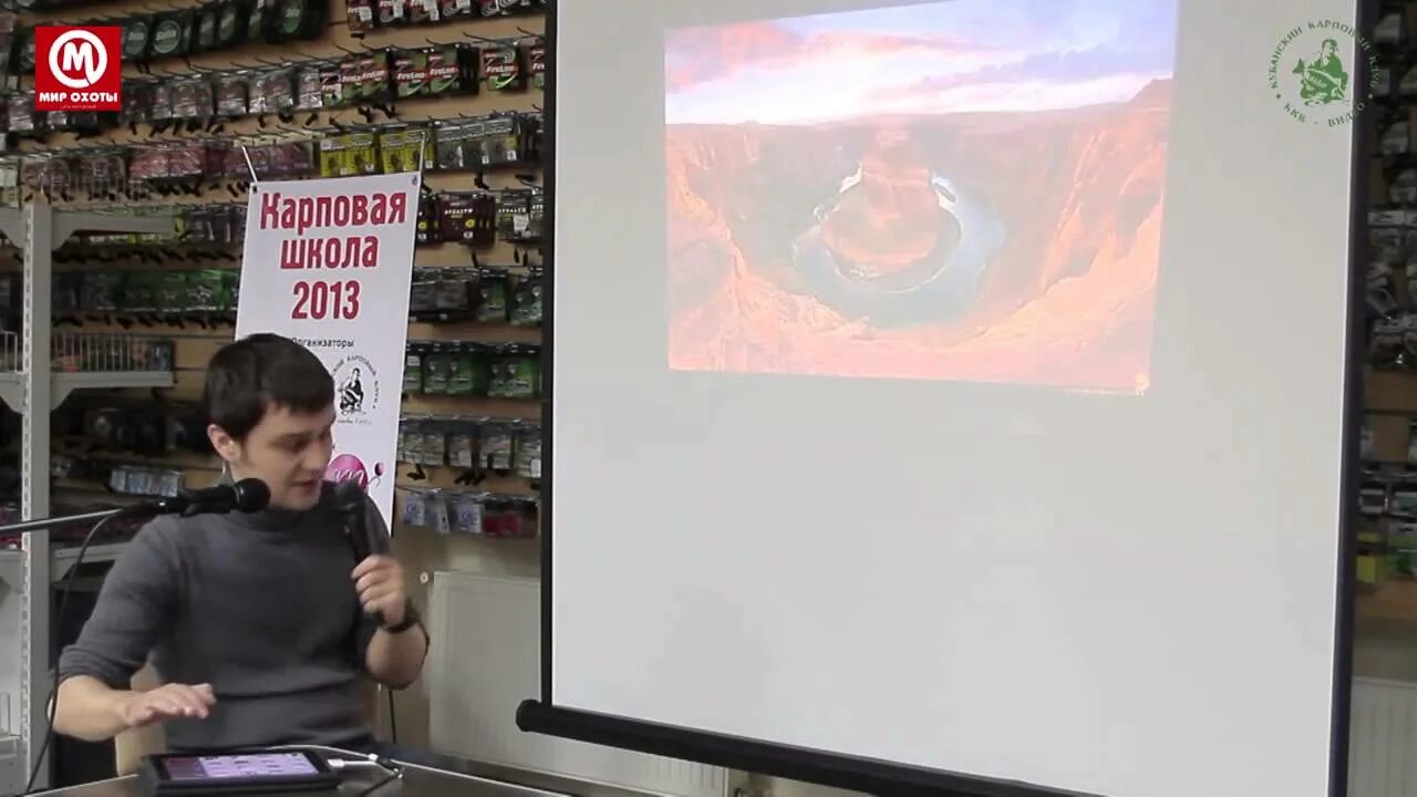 Карп кои вуалевый черный. 356 дней в школе карп. Карпфишинг. Рыба чешуйчатый карп. Кои в пруду.