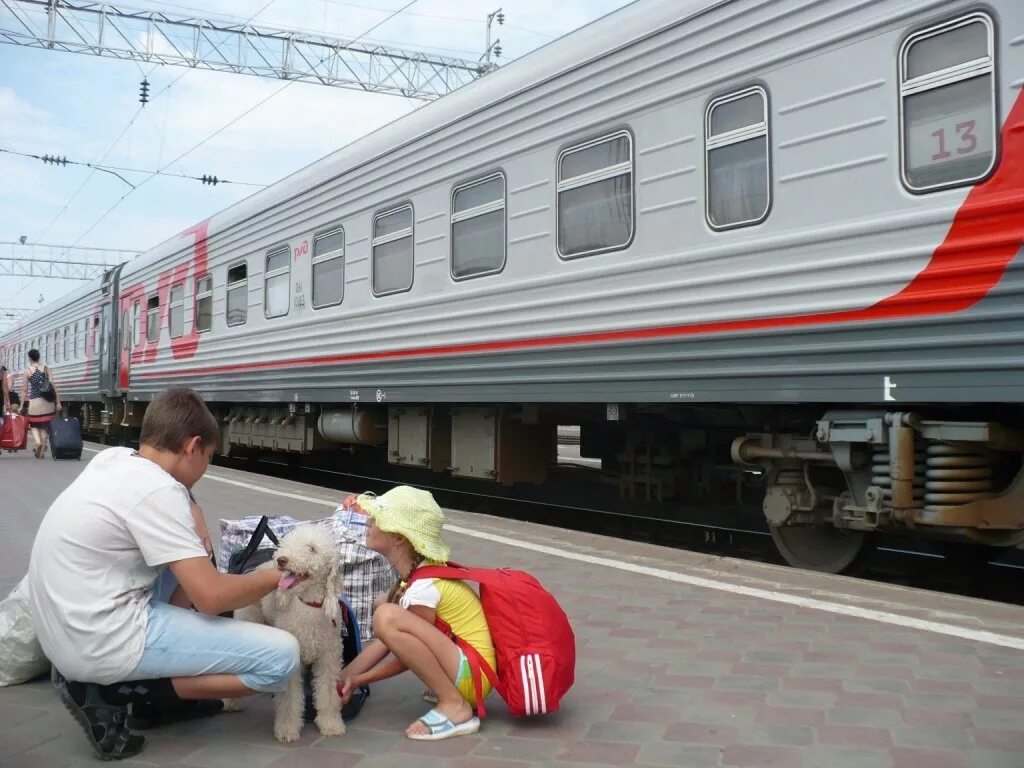 Поезд дальнего следования. Вагон дальнего следования. Дальний поезд. Поезда дальнего следования РЖД. Нарушение фпк