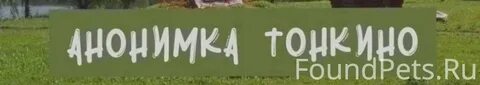 Анонимка тонкино нижегородская