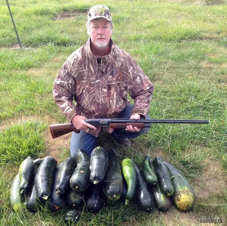 самый худший браконьер. самый худший браконьер. самый худший браконьер. браконьерство животных. нокс браконьер 2.