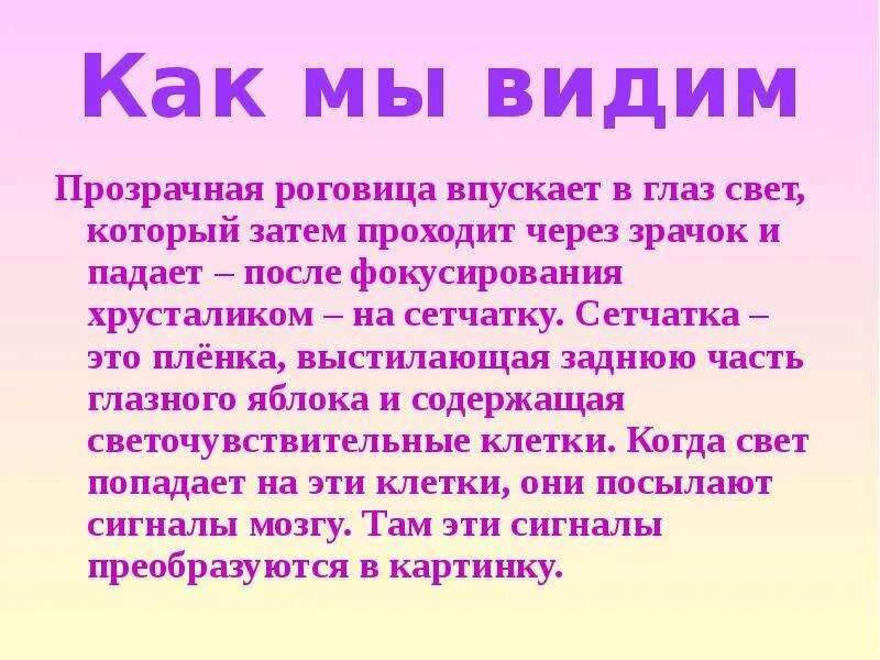 Благодаря чему мы видим. Как мы видим кратко. Как мы видим глазами. Как мы видим для детей. Как мы видим объекты.