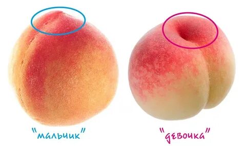 Упругие персики