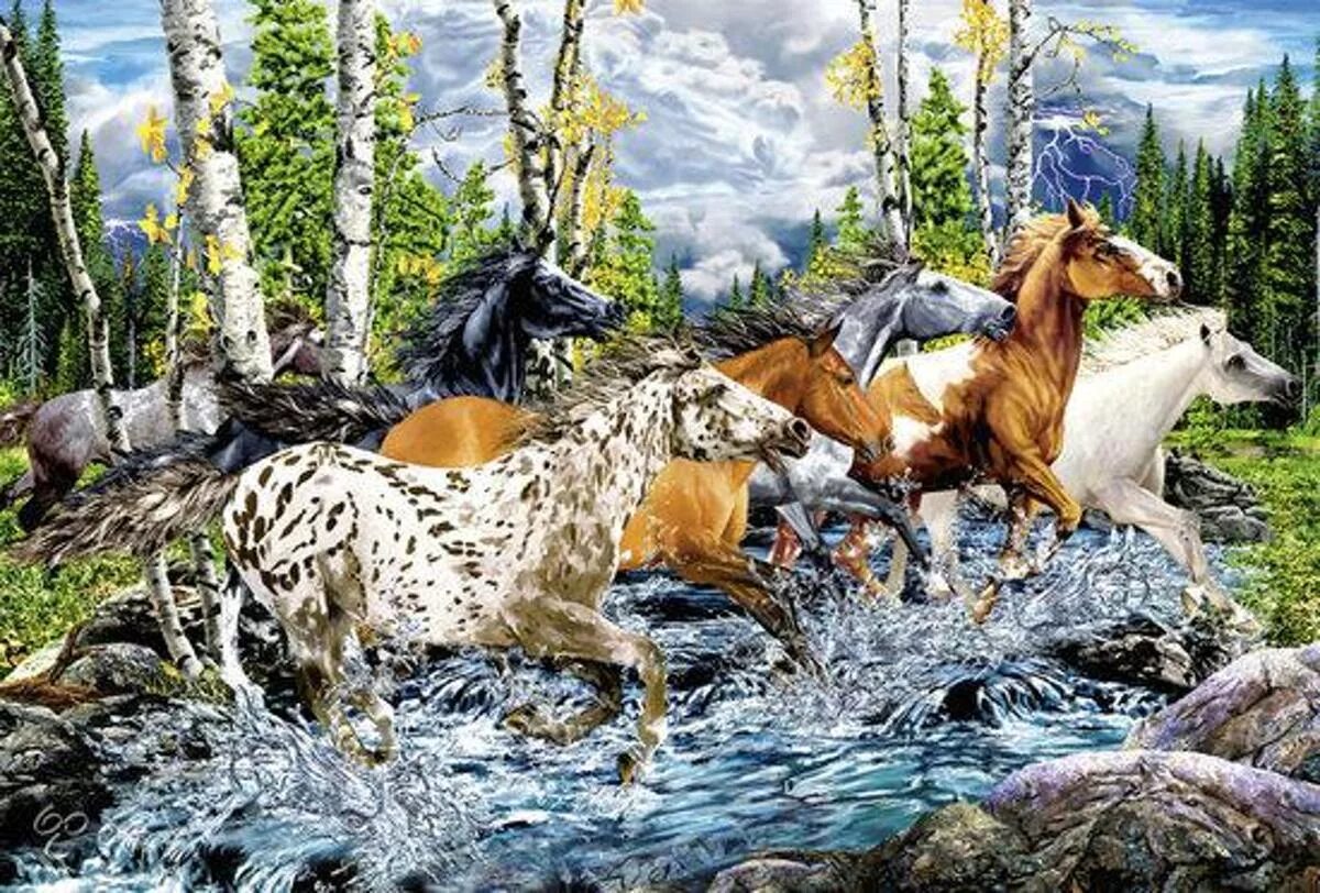 Иллюзия с лошадью. Найди лошадь на картинке. Сколько лошадей на картинке. Оптические иллюзии Найди животных.