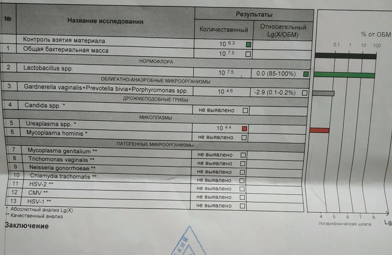 Gardnerella vaginālis prevotella bivia porphyromonas spp норма. Gardnerella vaginalis+prevotella bivia+porphyromonas spp. Gardnerella vaginalis prevotella porphyromonas spp. Gardnerella vaginālis prevotella bivia porphyromonas spp норма у женщин. Gardnerella vaginalis prevotella porphyromonas spp.