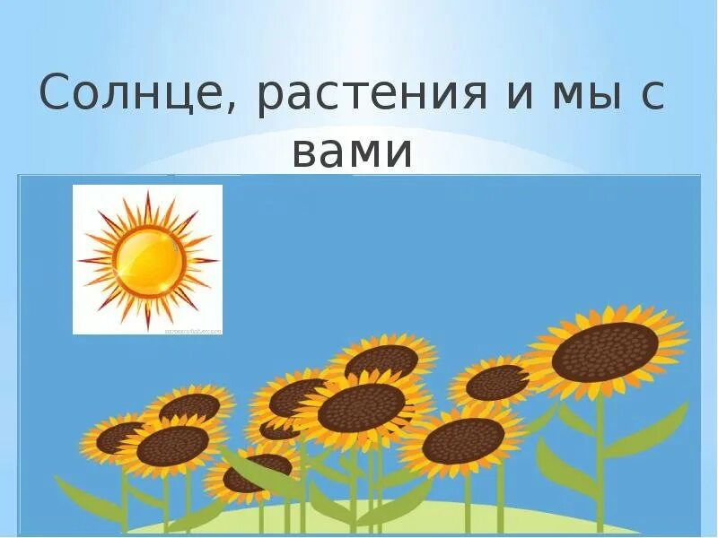 Солнце растения и мы с вами видеоурок. Солнце растения и мы с вами. солнце и растения. проект солнце растения и мы с вами. солнце растения и мы с вами презентация.