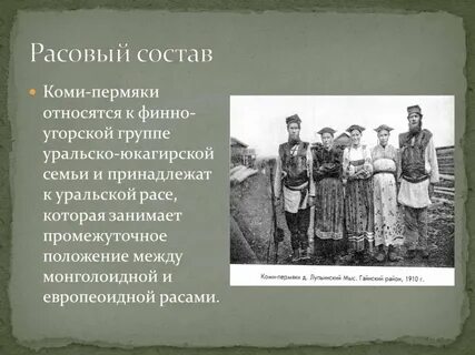 Коми какая семья