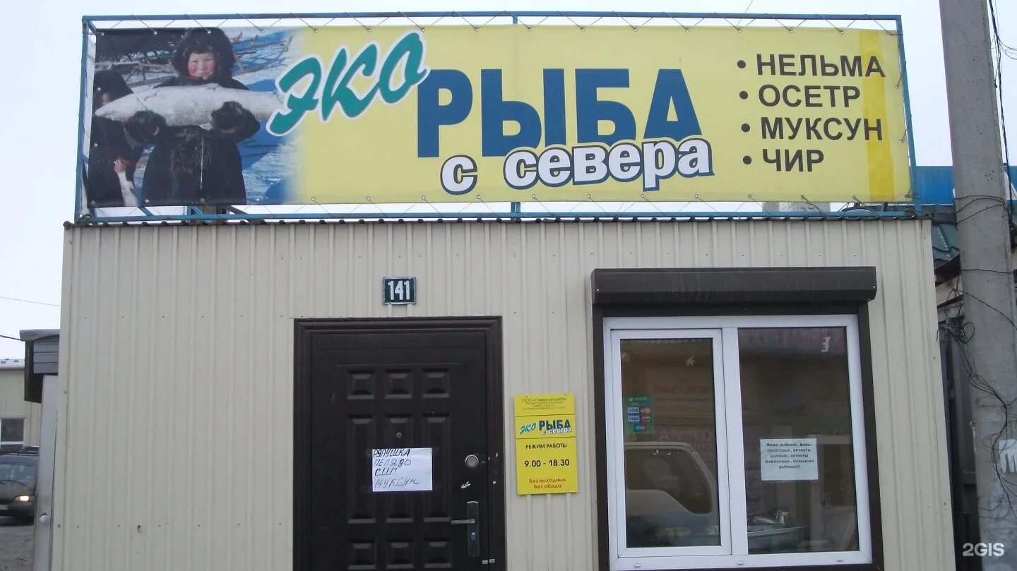 Мясо рыба череповец. Череповец рыба.