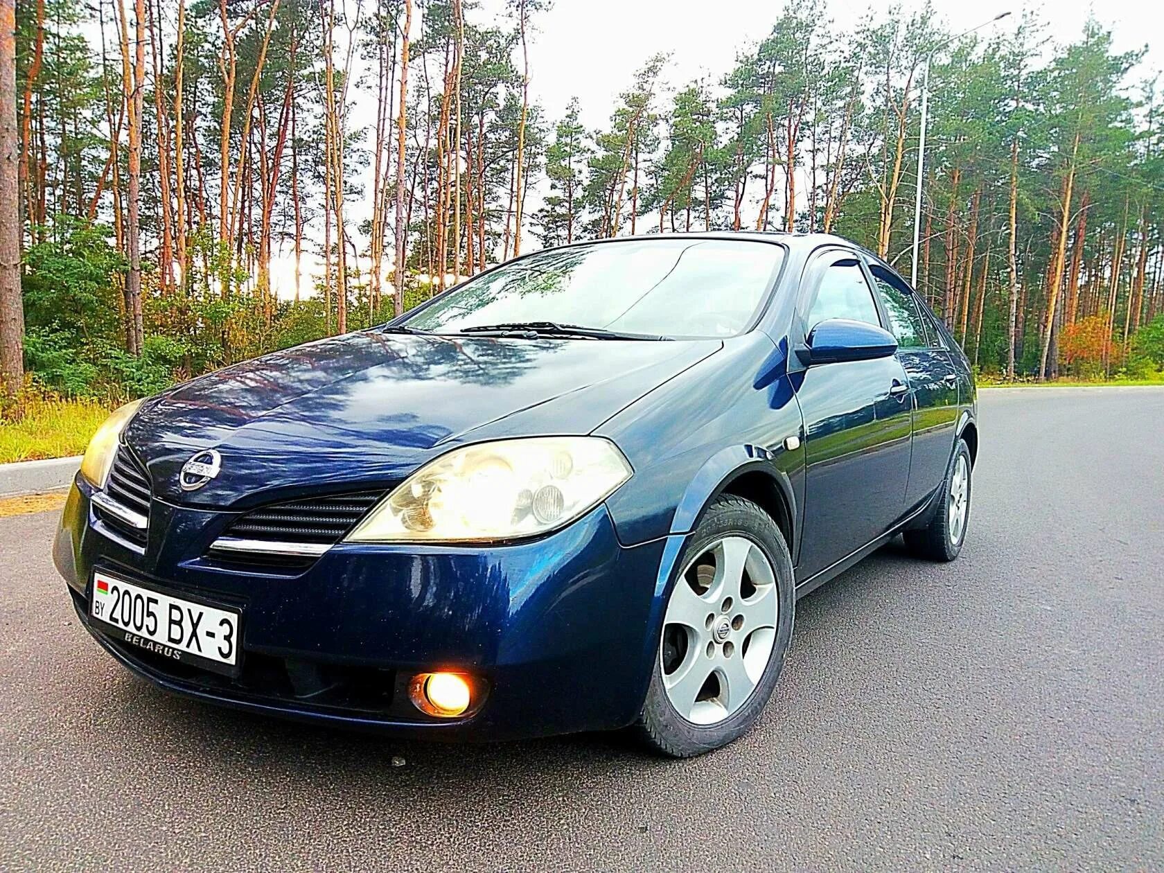 Nissan primera p12 синяя. Ниссан р12. Ниссан премьера 2003 года. Nissan primera 2003 года. Купить машину r