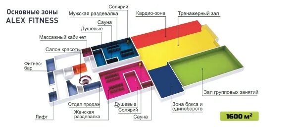 Бассейн Алекс фитнес Воронеж Московский проспект. Схема зала фдучашетуыы. Алекс фитнес план. Алекс фитнес Череповец.