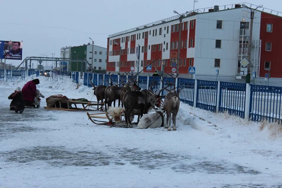 Ямбург (Ямало-Ненецкий автономный округ). Посёлок Ямбург ЯНАО. Посёлок Ямбург Надымский район. Посёлок Ямбург новый Уренгой.