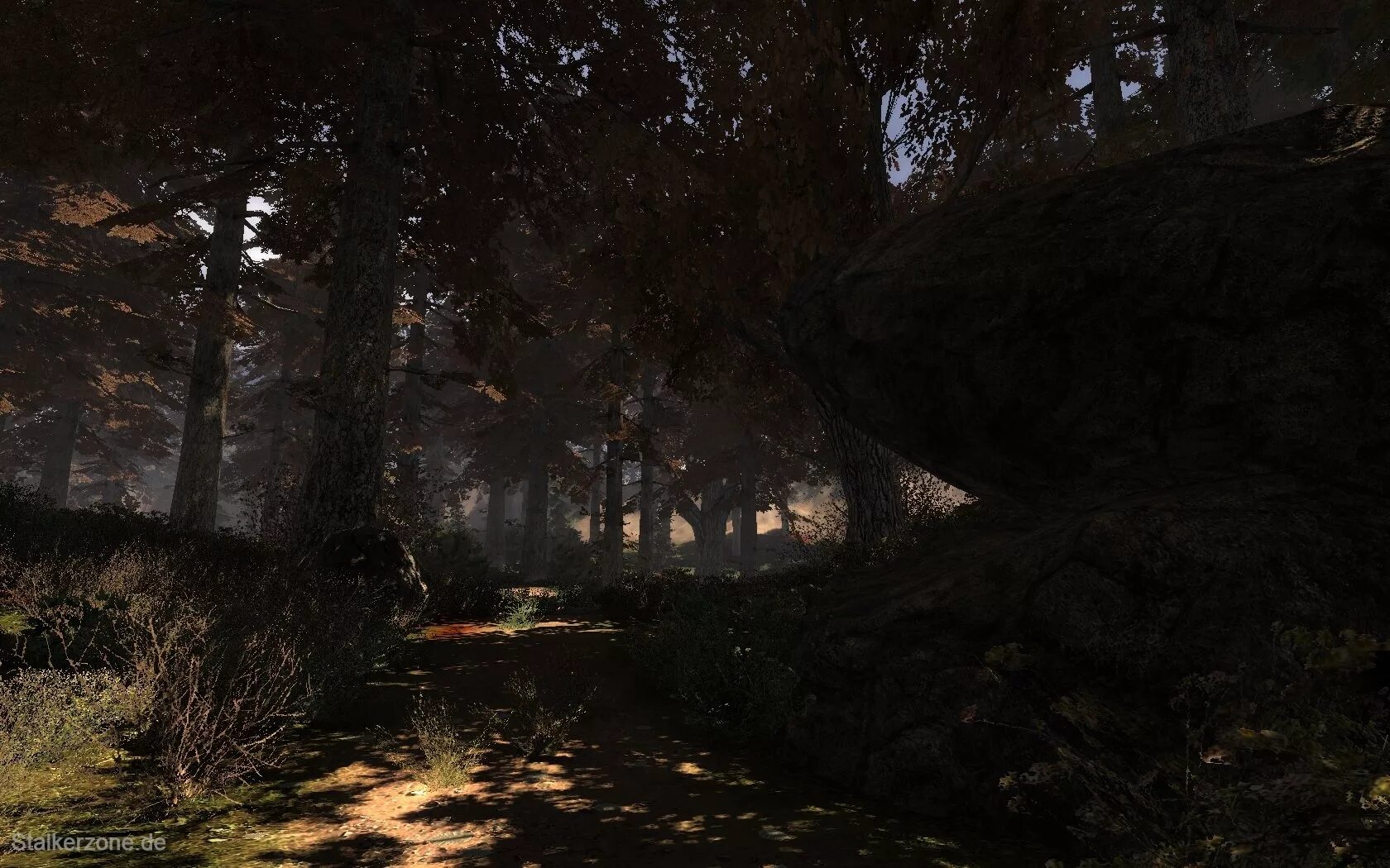 сталкер 2 с шейдерами. K. 5. рыжий лес сталкер. T.