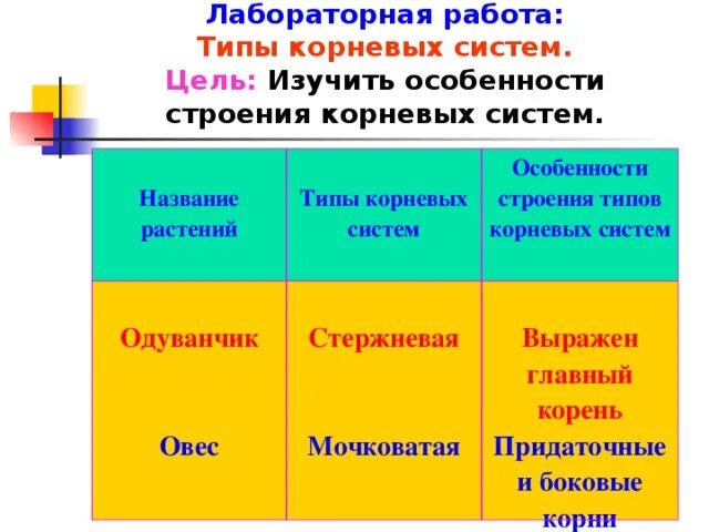 Особенности корневой системы одуванчика. Особенности строения корневой системы. Особенности строения корневой системы одуванчика. Лабораторная работа типы корневых систем.