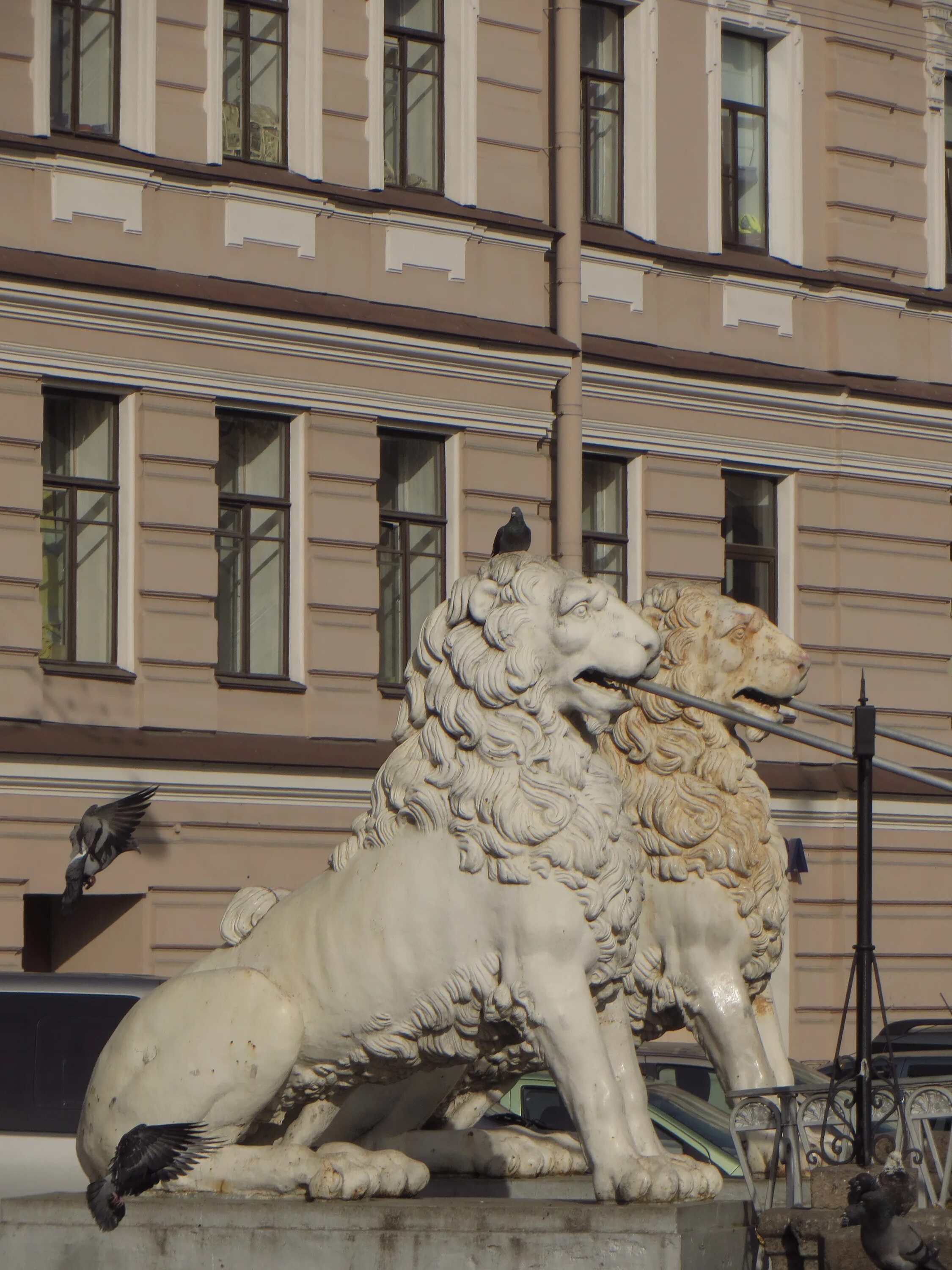 Мост со львами в питере. Мост со львами в питере