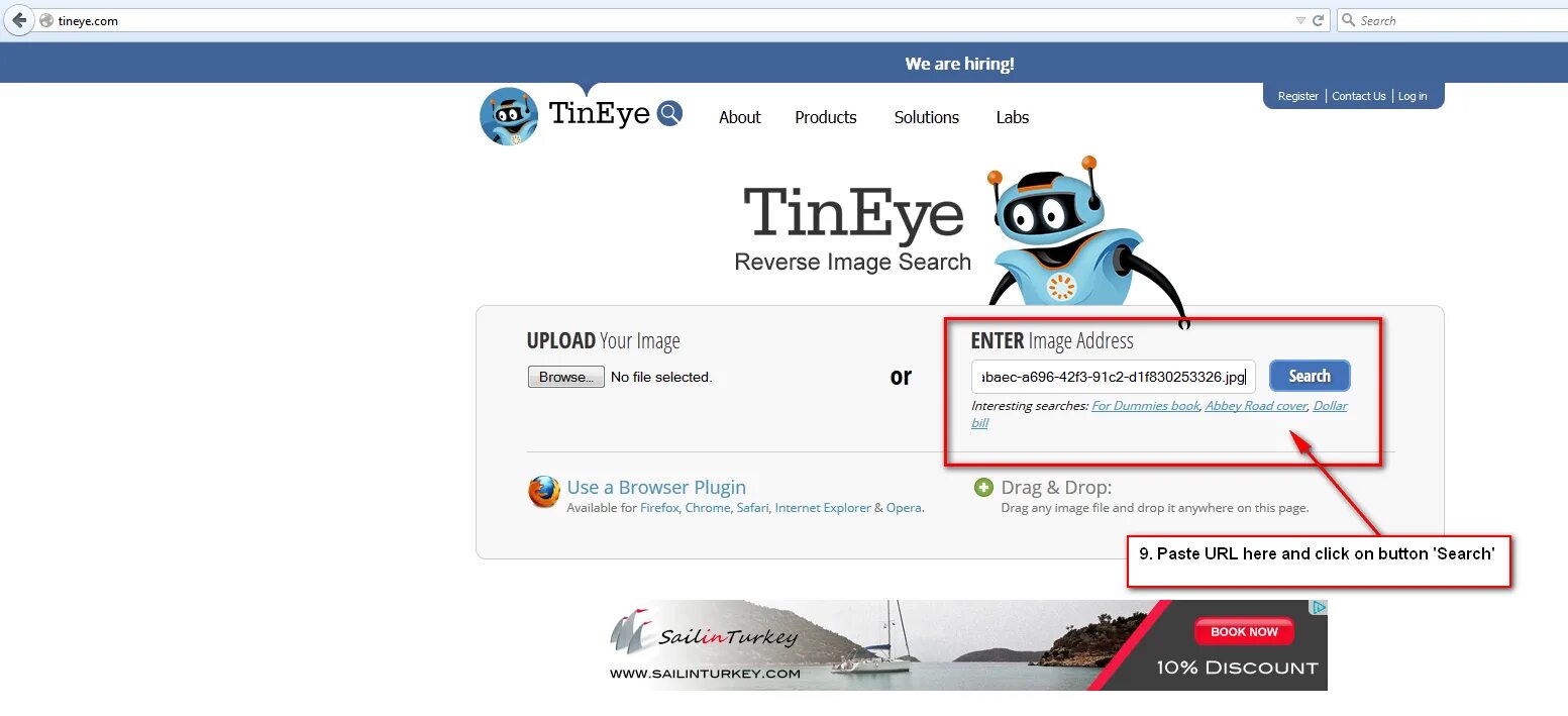 Тинай поиск. TINEYE точка com. TINEYE Reverse image.