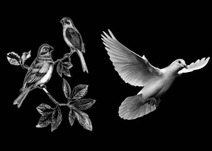 гравюра на граните. птицы для гравировки. трафарет цветов с птицами. птицы на памятник гравировка. трафареты для гравировки на стекле.