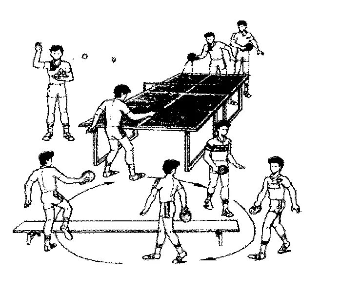 Настольный теннис. Схема игры в настольный теннис. Правила настольного тенниса. Порядок игры в настольный теннис. Настольный теннис парный игры