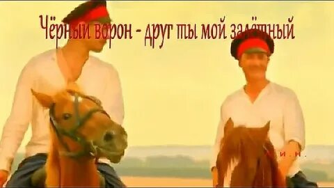 Ворон друг залетный