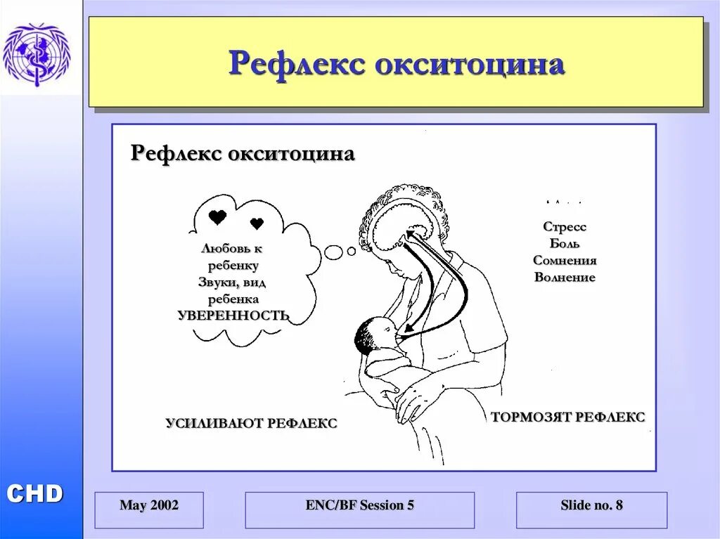 Выработка окситоцина. Рефлекс пролактина и окситоцина. Окситоцин рисунок. Гормон окситоцин рисунок. Функции пролактина и окситоцина.