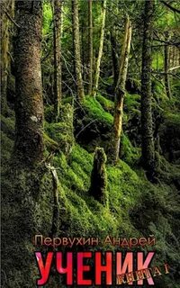 Книги андрея первухина