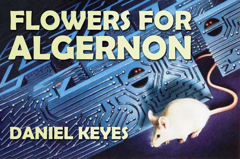 Элджернон чарли и я. Daniel Keyes Flowers for Algernon. Цветы для Элджернона мышь. Charlie Gordon Flowers for Algernon презентация. Flowers for Algernon book.