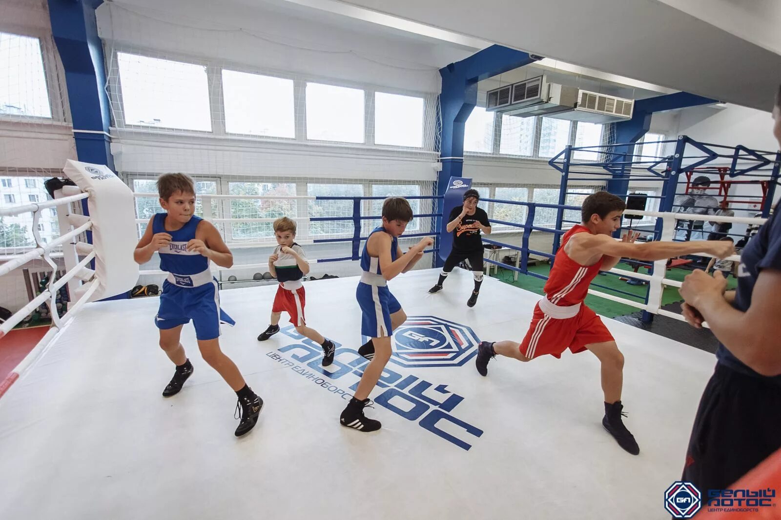 Выносливость боксера. Спортивные секции. Занятия боксом для детей. Бокс дети тренировка. Спортивные секции для детей.