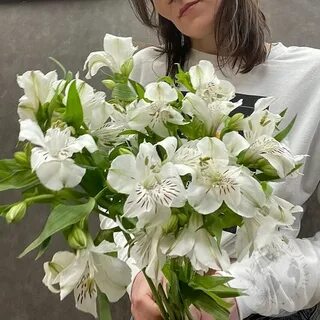 Цветы лобня