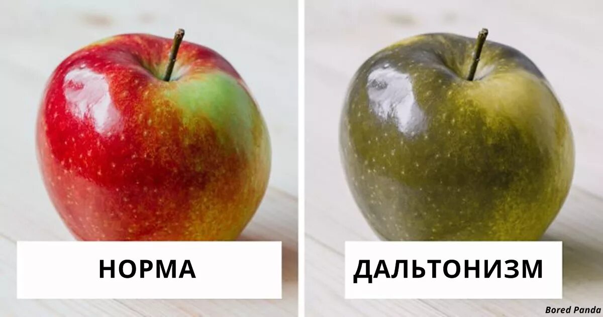 Человек который не видит цвета. Мирглпзами дальтоника. дир глазами дальтоника. как видят дальтоники. как видят дальтоники цвета.