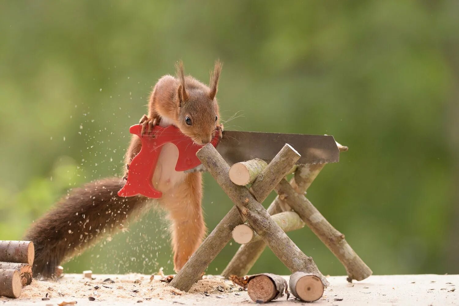 Squirrel updater