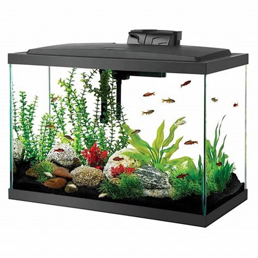 Аквариум dennerle nano tank plant pro 70л. Малые аквариумы. Малые аквариумы. 8. Аквариум (fish tank) 2009.