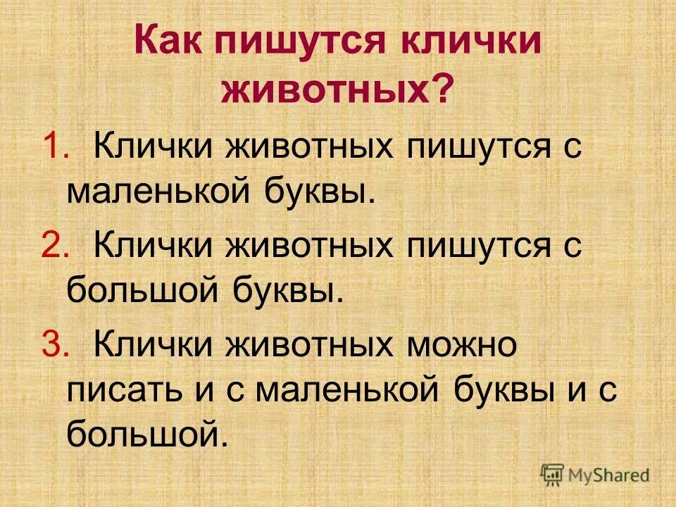 Масленица с большой или маленькой буквы пишется. Как пишутся клички животных. Клички животных пишутся с маленькой буквы. Как написать клички животных. Клички животных пишутся с большой буквы.