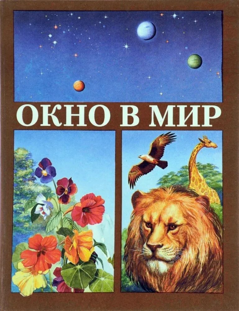 О тебе. Книга окно в большой мир. Книги для детей. Книжный стеллаж у окна. Книга окно в большой мир.