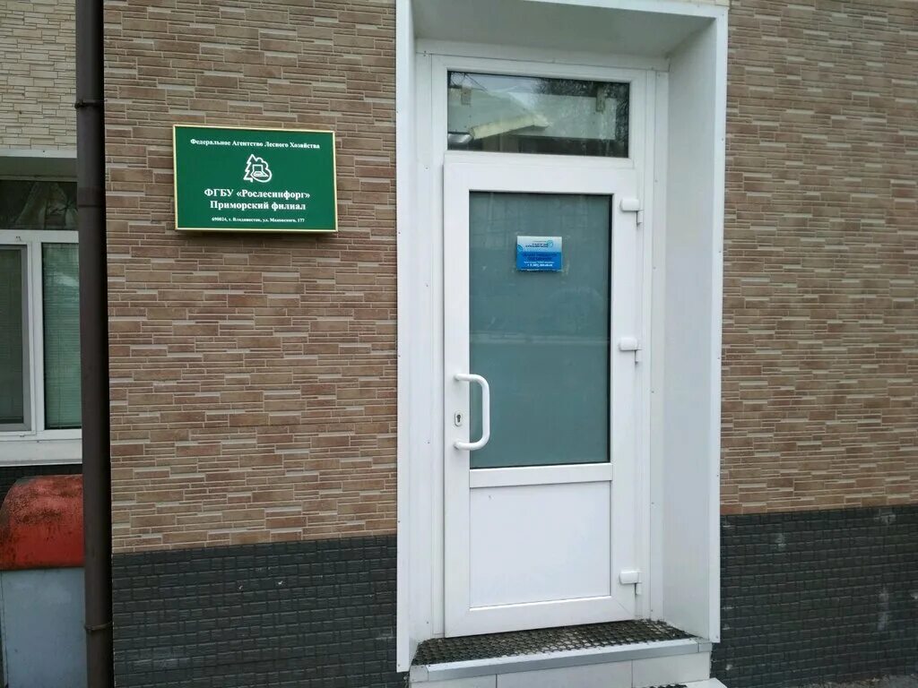 фгуп рослесинфорг. 6. рослесинфорг структура. рослесинфорг фгбу филиалы. рослесинфорг приморский филиал.