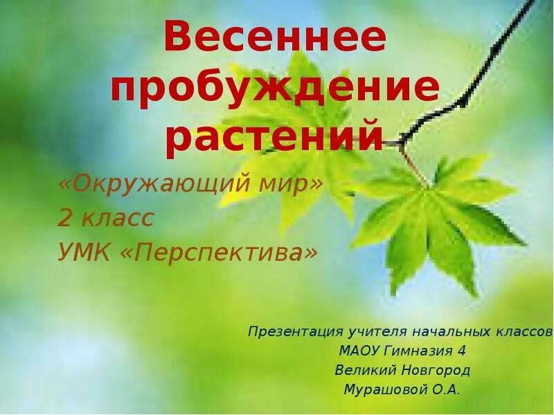 Тест весеннее пробуждение растений 2 класс. Весеннее Пробуждение растений 2 класс. Весеннее Пробуждение растений 2 класс окружающий мир. Весеннее Пробуждение растений 2 класс окружающий мир презентация. Весеннее Пробуждение растений презентация.