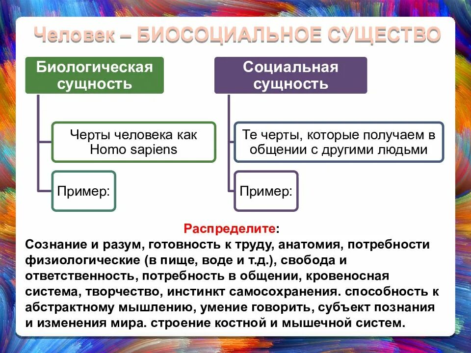 Человек является социальным человеком. Социальная сущность человека. Биологическая и социальная сущность человека. Социальная сущность человека примеры. Черты социальной сущности человека.