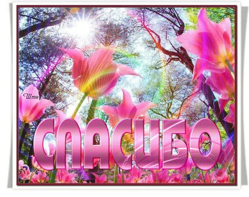 Спасибо танечка. Благодарность татьяне. Спасибо танюша. Открытка спасибо таня. Спасибо танюша.